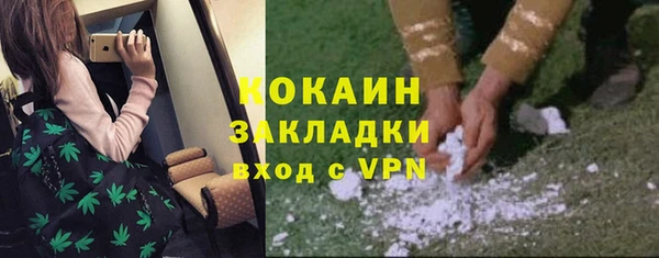 ПСИЛОЦИБИНОВЫЕ ГРИБЫ Алзамай